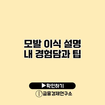 모발 이식 설명 내 경험담과 팁