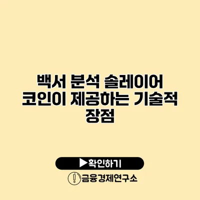 백서 분석 솔레이어 코인이 제공하는 기술적 장점
