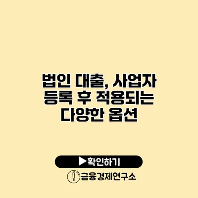 법인 대출, 사업자 등록 후 적용되는 다양한 옵션