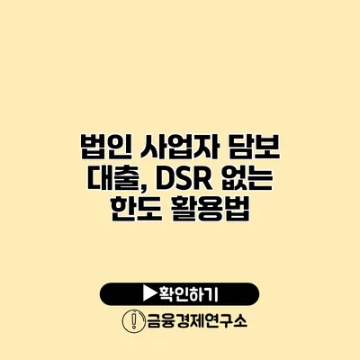 법인 사업자 담보 대출, DSR 없는 한도 활용법