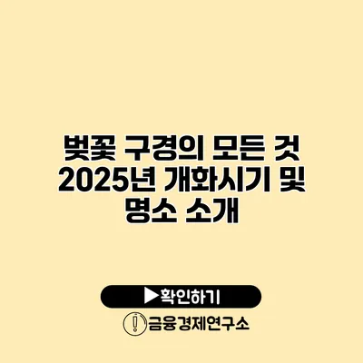 벚꽃 구경의 모든 것 2025년 개화시기 및 명소 소개
