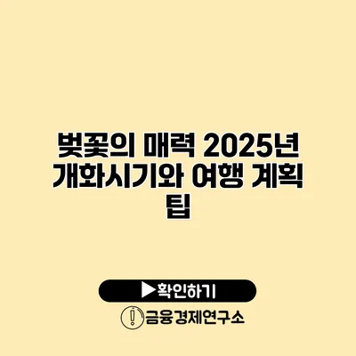 벚꽃의 매력 2025년 개화시기와 여행 계획 팁