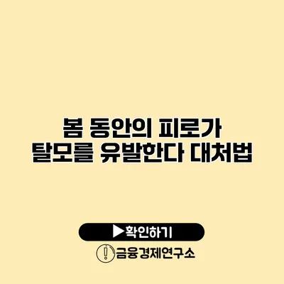 봄 동안의 피로가 탈모를 유발한다? 대처법