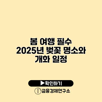 봄 여행 필수 2025년 벚꽃 명소와 개화 일정