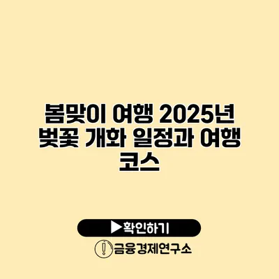 봄맞이 여행 2025년 벚꽃 개화 일정과 여행 코스