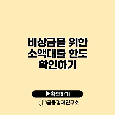 비상금을 위한 소액대출 한도 확인하기