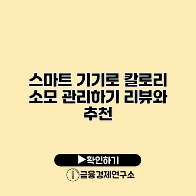 스마트 기기로 칼로리 소모 관리하기 리뷰와 추천