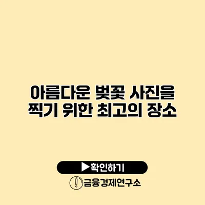 아름다운 벚꽃 사진을 찍기 위한 최고의 장소