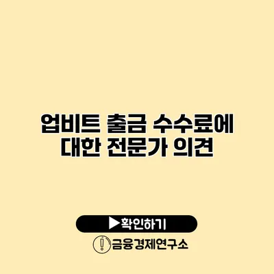 업비트 출금 수수료에 대한 전문가 의견