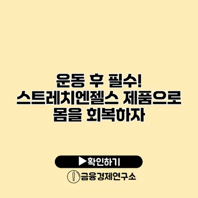 운동 후 필수! 스트레치엔젤스 제품으로 몸을 회복하자