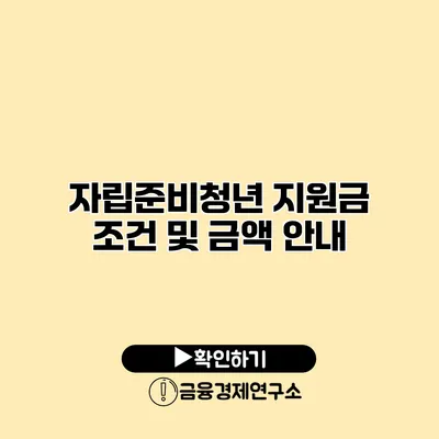 자립준비청년 지원금 조건 및 금액 안내