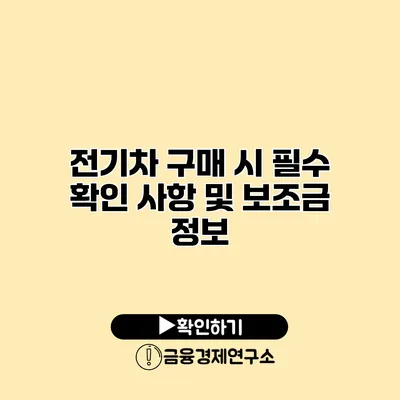 전기차 구매 시 필수 확인 사항 및 보조금 정보