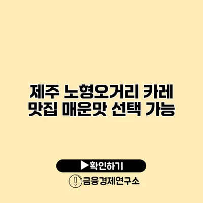 제주 노형오거리 카레 맛집 매운맛 선택 가능
