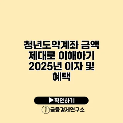 청년도약계좌 금액 제대로 이해하기 2025년 이자 및 혜택