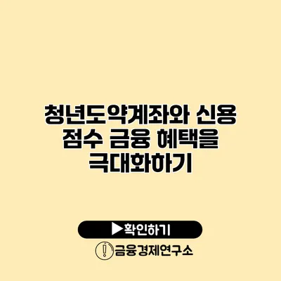 청년도약계좌와 신용 점수 금융 혜택을 극대화하기