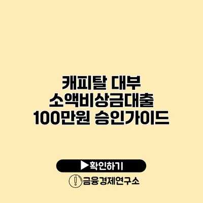 캐피탈 대부 소액비상금대출 100만원 승인가이드