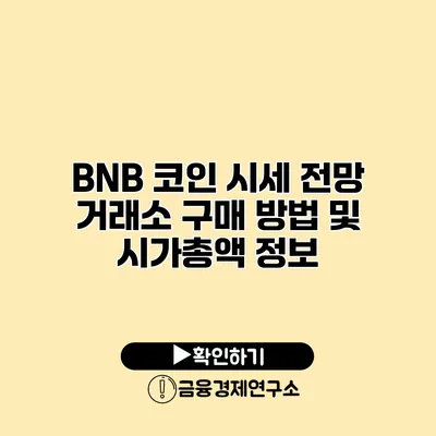 BNB 코인 시세 전망 거래소 구매 방법 및 시가총액 정보