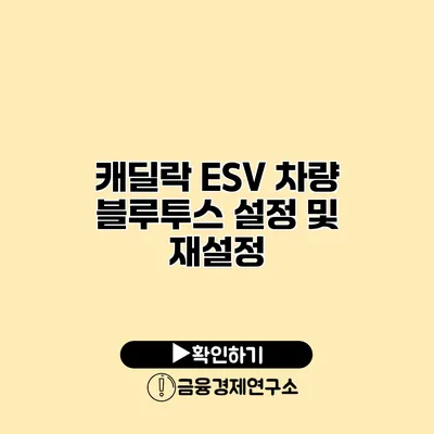 캐딜락 ESV 차량 블루투스 설정 및 재설정