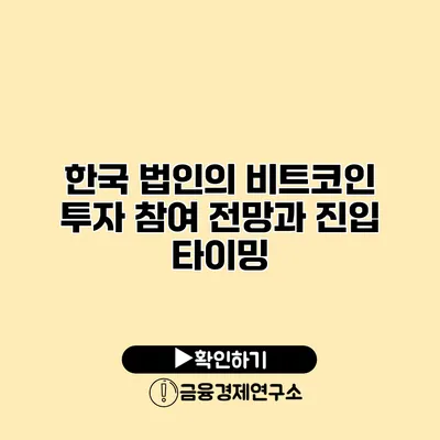 한국 법인의 비트코인 투자 참여 전망과 진입 타이밍