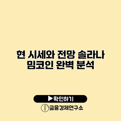 현 시세와 전망 솔라나 밈코인 완벽 분석